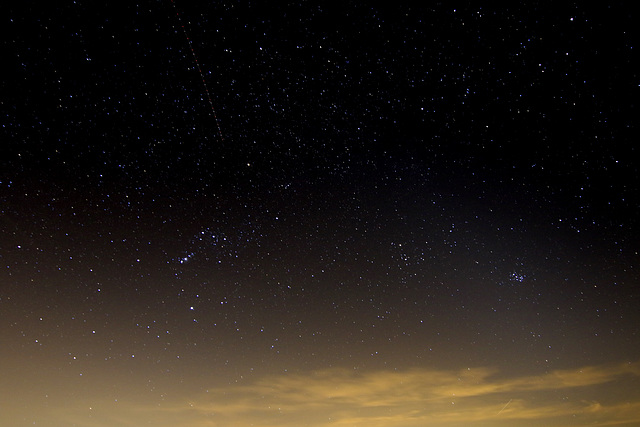 Joshua Tree Night Sky