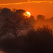 Sonnenaufgang sehr zaghaft