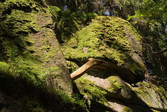 Waldnaabtal bei Falkenberg