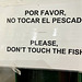 Xàbia 2022 – Please don't touch the ﬁsh