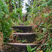 Pennine Way steps at Torside