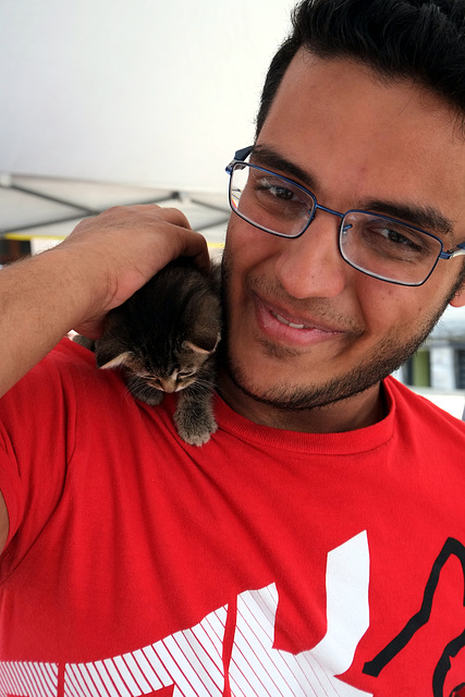 The kitten, Poko, and its human, Nino from Saudi Arabia