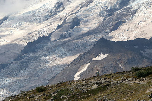 Emmons Glacier from Second Burroughs