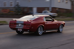 Pony Car