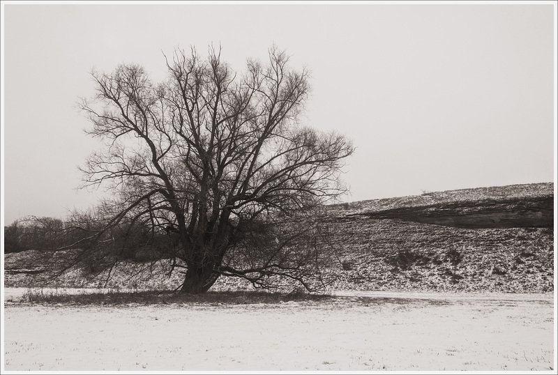 Januar15