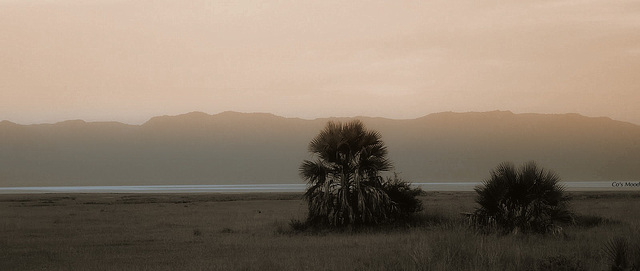 Lac Manyara