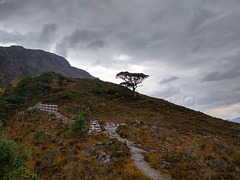 Mountain Trail, Beinn Eighe National Nature Reserve