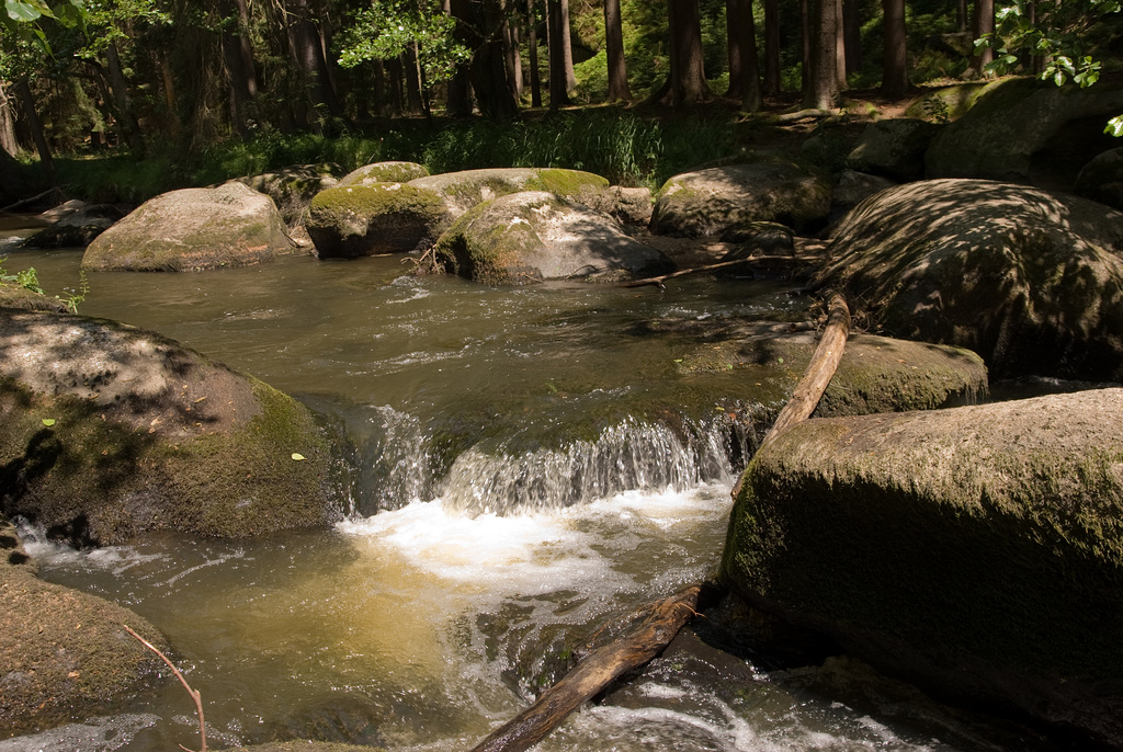 Waldnaabtal bei Falkenberg
