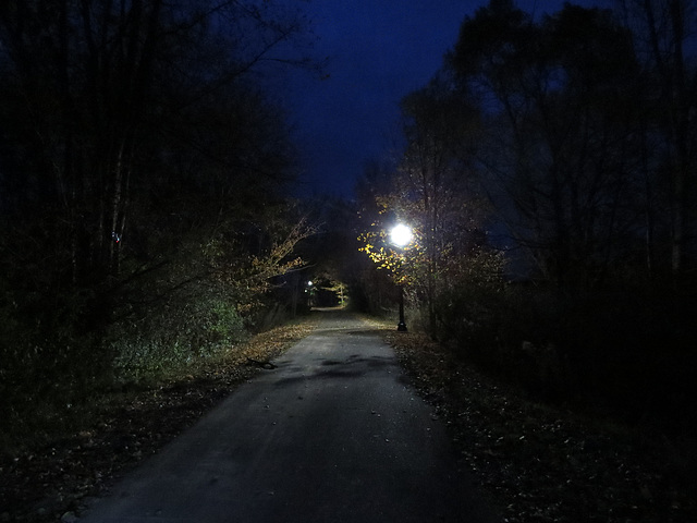 Night walk.