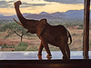 Sunset at Tsavo West (Explored)