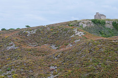 Lande bretonne