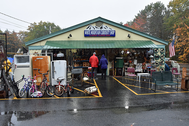 White Mountain Curiosity Shop