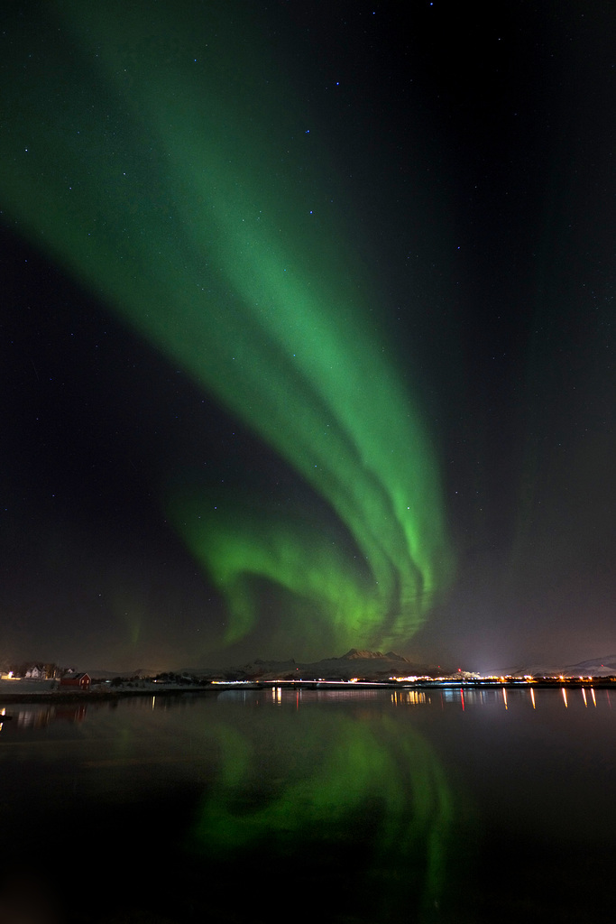 Lofoten, Leknes, Northern lights L1006893