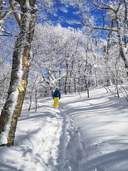 Tableau de givre IMG 124727