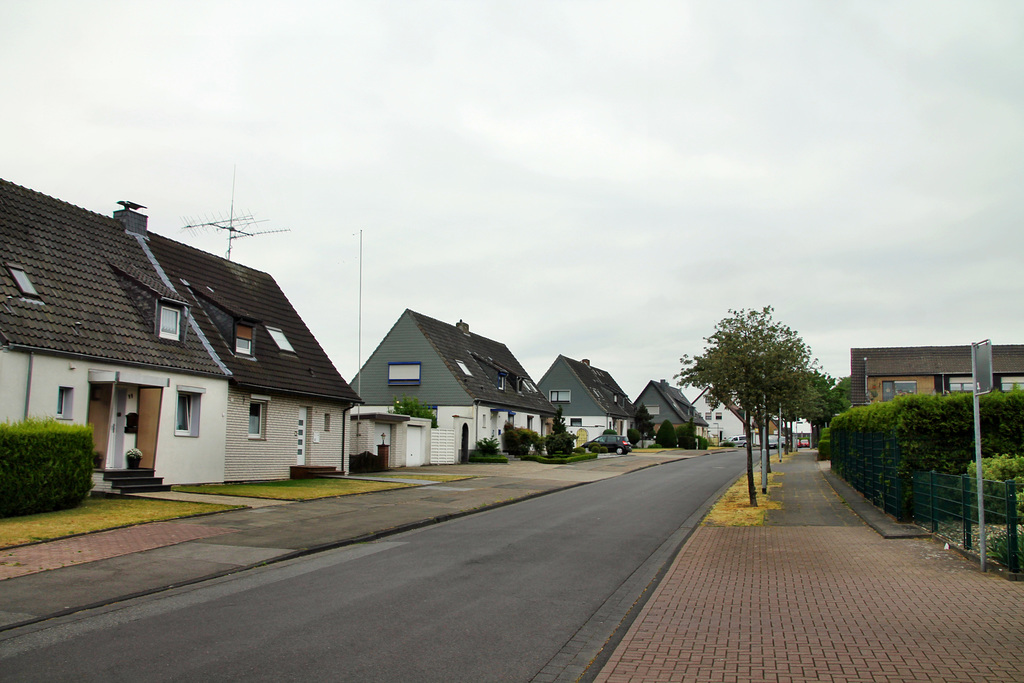 Fichtenstraße (Dinslaken-Hiesfeld) / 4.06.2020