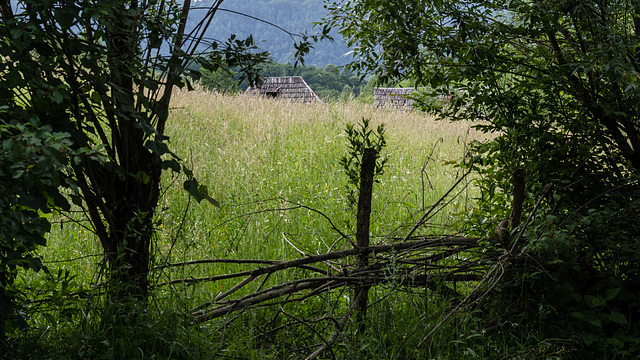 18 06 Maramures-110