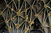 gloucester cathedral (421)