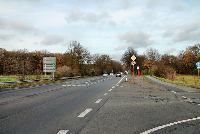 Halterner Straße (Marl-Sinsen) / 1.12.2018