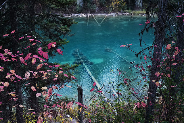 Emerald Lake