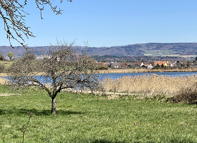 Der Frühling macht Pause; es ist kalt und windig