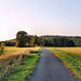 Radweg auf der ehem. Trasse der Zechenbahn Westfalen (Ahlen) / 9.08.2025 Radweg auf der ehem. Trasse der Zechenbahn Westfalen (Ahlen) / 9.08.2025