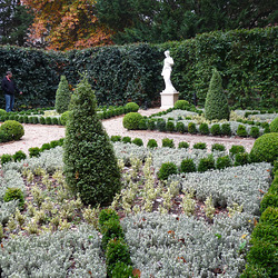 Beechwood formal beds Beechwood formal beds