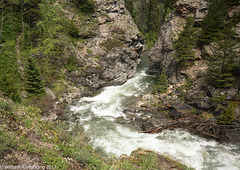 Blakiston Falls