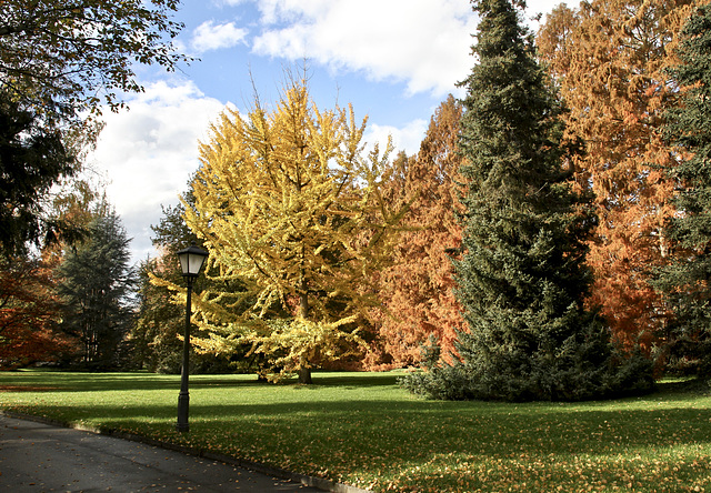 Park auf der Insel Mainau