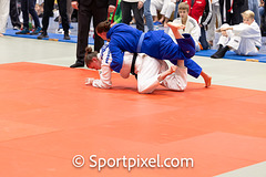 Kappel-4395 Kappel-4395