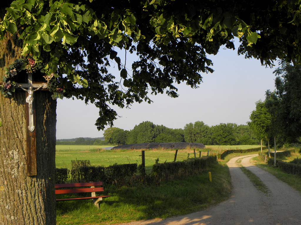 Field road to the Wolfhill--(Hbm)