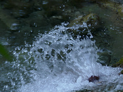 20250916 -19 Haut diois (Cascades Sapet - Valdrome) (42)