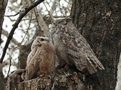 Safe with Mom