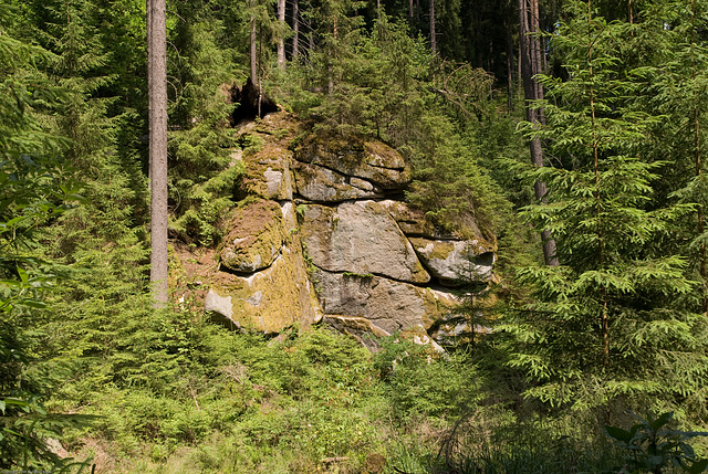 Waldnaabtal bei Falkenberg