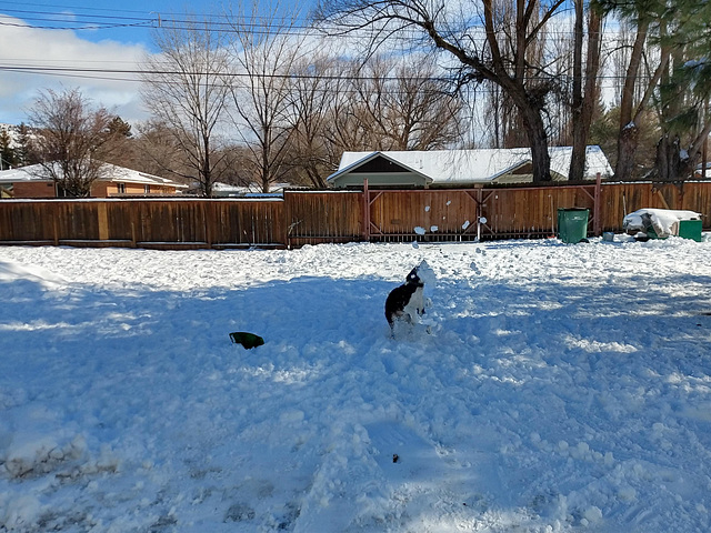 Snow catcher