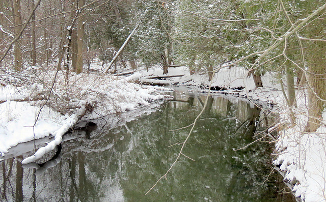 Stony Creek winding through the nature center.