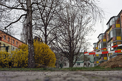 KR607673©IngoKrehl