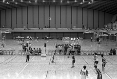 Match de basket
