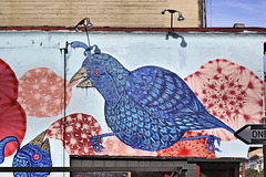 Blue Birds, Blue Sky – Clarion Alley, Mission District, San Francisco, California