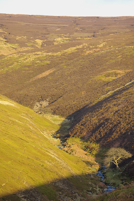 Bray Clough