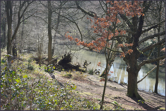 Guitar man by the pond.