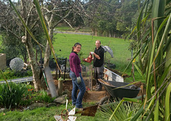 our new keyhole garden