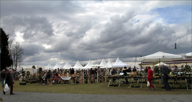 Fête des plantes de Locon 16è...