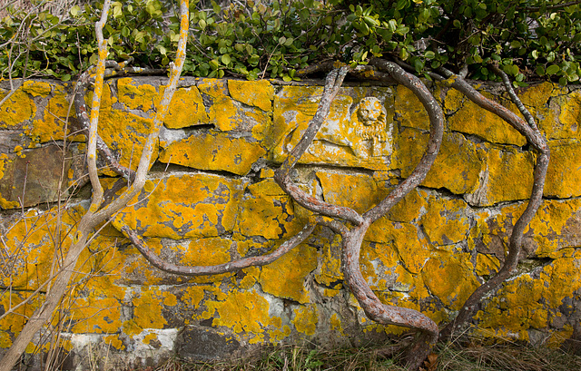 Wall, Timber Point Cottage