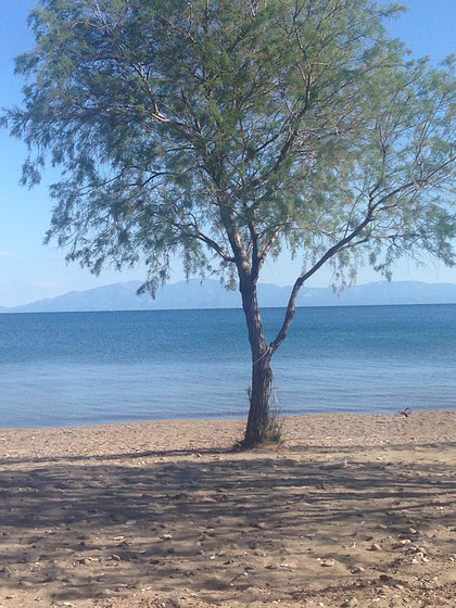 The beach is empty before the visitors arrive