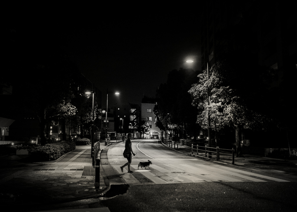 Tokyo · Night after rain