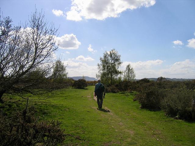 Hartlebury Common with the Malvern Hills in the distance