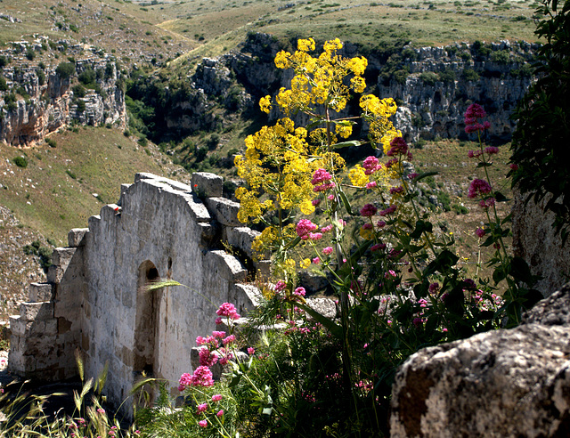 Matera