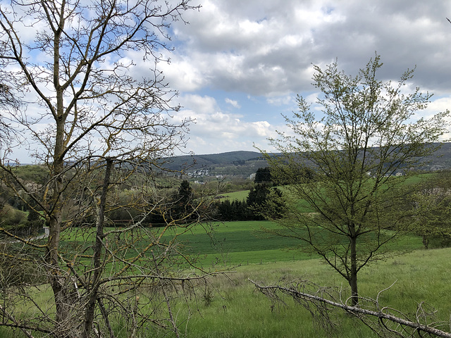 Auf dem Weg zum Flugplatz