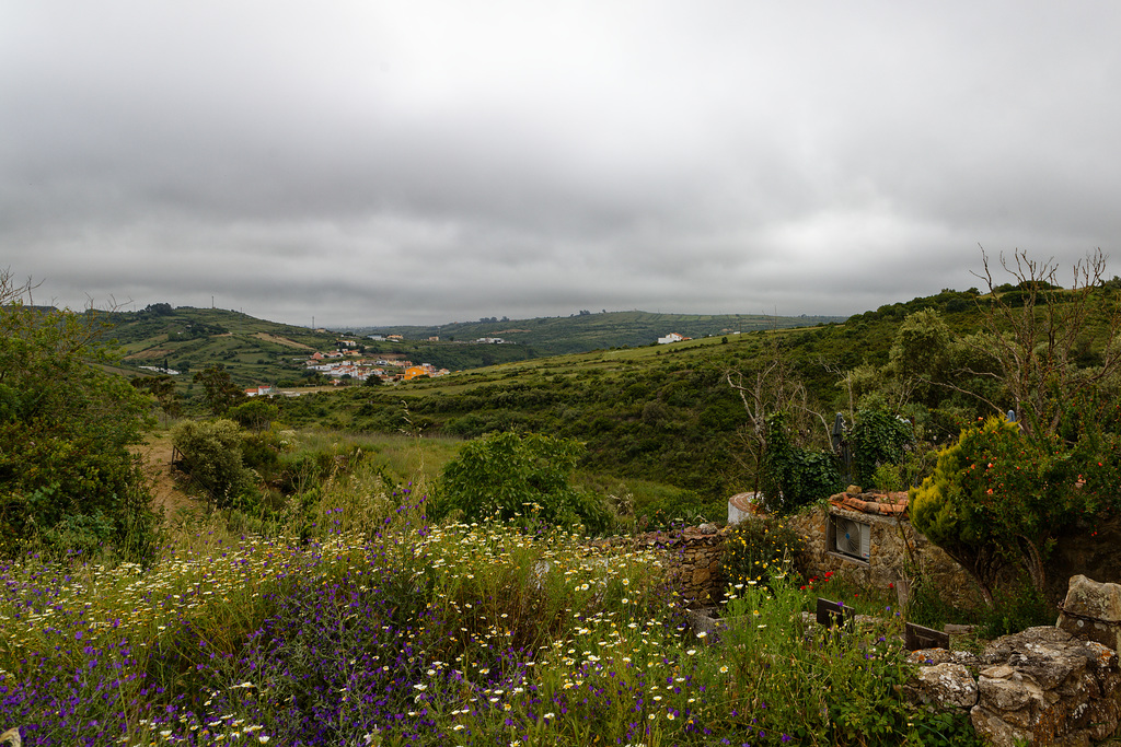 Mata Pequena, Portugal