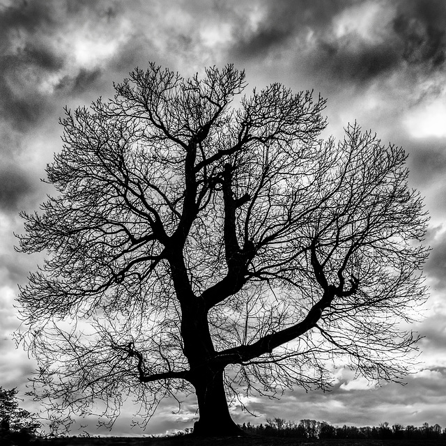 Sunday Challenge 27-04-2025 Sunday Challenge 27-04-2025